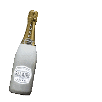 Champagne Bottle Sticker by Luc Belaire