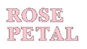 Rose Spring Sticker by BY ECOM