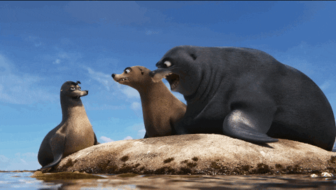 finding dory GIF by Disney/Pixar's Finding Dory