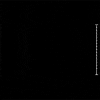 Art Loop GIF