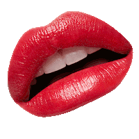 Vdl Sticker by VDL_cosmetics