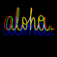 Style Hello GIF
