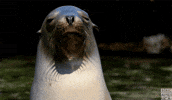 Tired Blue Planet GIF by BBC America