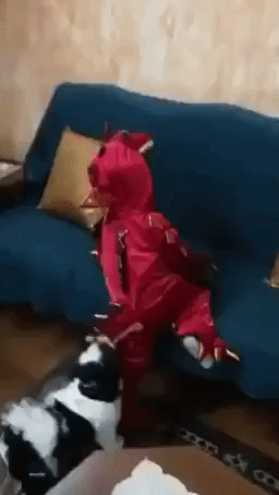 Dog Keeps 'Dragon' His Best Friend Down