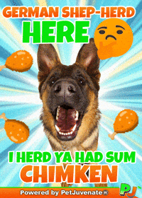Henlo Hooman Fren GIF by PetJuvenate - PJ