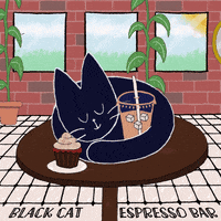 teachertalkstoronto  GIF