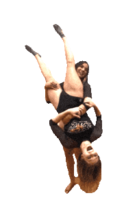 Ava Harper Sticker by TowsonGymnastics