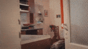 Novela Kadin GIF by RECORD