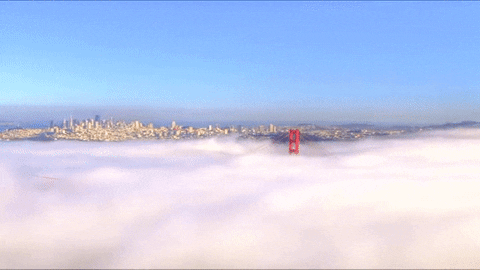 bridge san GIF