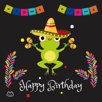 Cinco De Mayo Birthday GIF by TOAD 8