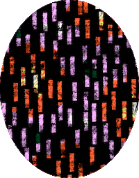 Art Spring Sticker by Studio Behm