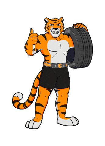 Muchomacho Sticker by Cosmo Tires