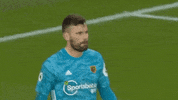 Ben Foster Soccer GIF by Watford Football Club