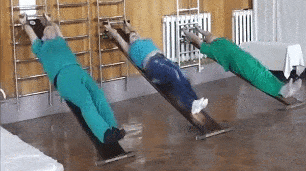 bodybuilding-and-fitness giphyupload doska evminov GIF