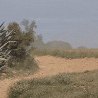 jcquintanamotorsport motorsport rally motor automovilismo GIF