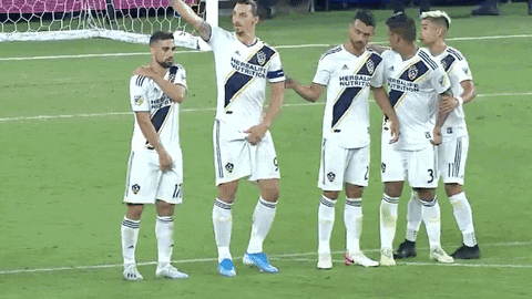 Go Little Brother GIF by Major League Soccer