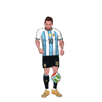 World Cup Football Sticker by Panini America