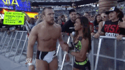 aj lee wrestling GIF by WWE