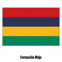 Flag Bandera GIF by Formación Ninja