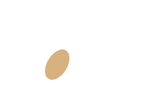 Chicken Or Egg Sticker