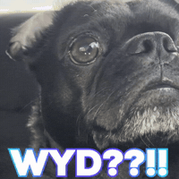 What Are You Doing GIF