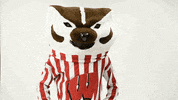 Wisconsin Badgers GIF by uwmadison