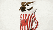 Wisconsin Badgers GIF by uwmadison