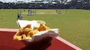 Fish Bermuda GIF by Bermemes