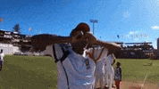 Bermuda Scc GIF by Bermemes