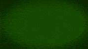 fabricgif lacrosse lax yaz womens lacrosse GIF
