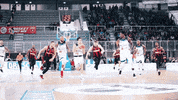 Leonessa Brescia Nba GIF by Basket Brescia Leonessa
