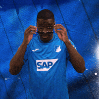Sport Bundesliga GIF by TSG Hoffenheim