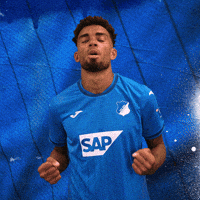 Kevin Akpoguma Sport GIF by TSG Hoffenheim