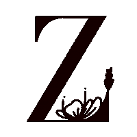 Abc Alphabet Sticker