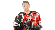 Hockey Player Sticker by Huntsville Havoc