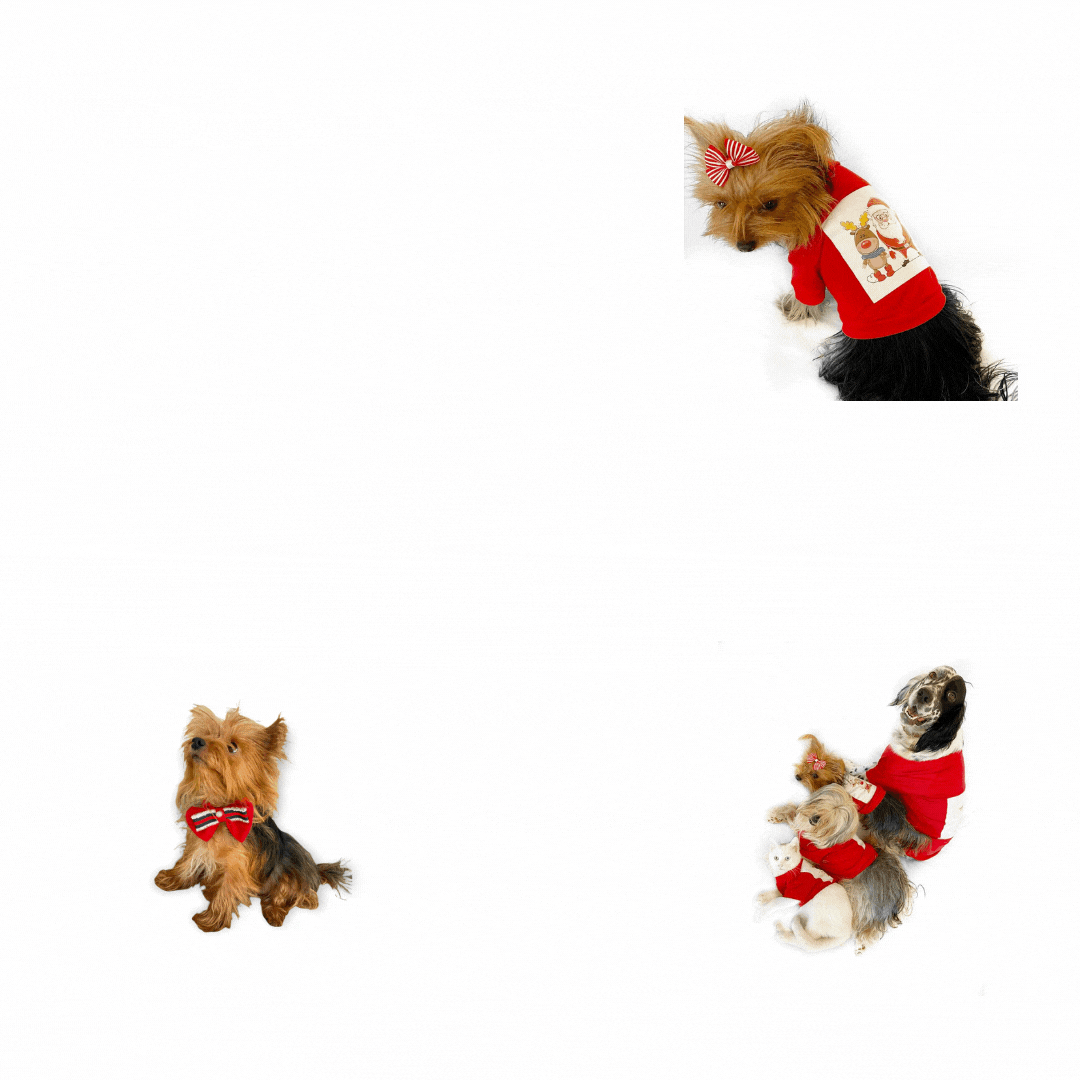 kemique giphyupload GIF