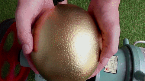 ExperimenMeatGrinder giphyupload golden meat eggs GIF