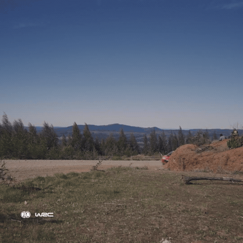 On My Way Chile GIF by FIA World Rally Championship