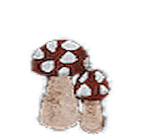 Fall Autumn Sticker