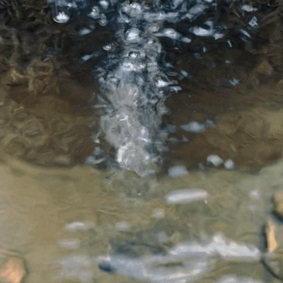 GIF by LediBelle