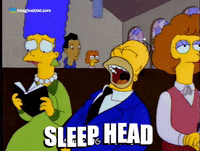 Homer Simpson Sleep GIF by Imaginal Biotech