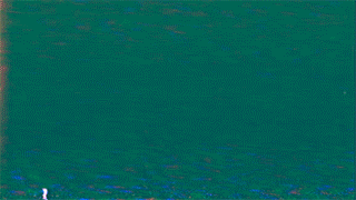 art GIF by Mina Mir