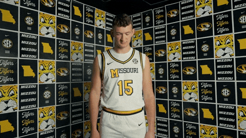 GIF by Mizzou Athletics