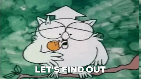 treblefm giphygifmaker teacher owl lollipop GIF