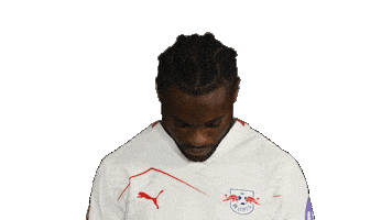 Look Up Rb Leipzig Sticker by Bundesliga