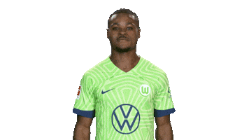Lets Go Football Sticker by VfL Wolfsburg