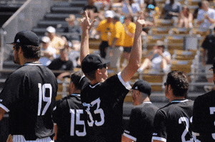 SouthernMissAthletics celebration baseball finger guns golden eagles GIF