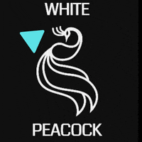 Whitepeacock__ peacock whitepeacock GIF