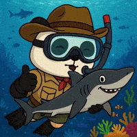 Water Swimming GIF by Pandu Pandas