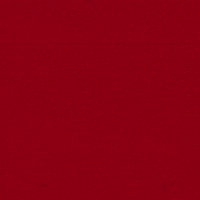 Go Cards GIF by Louisville Cardinals